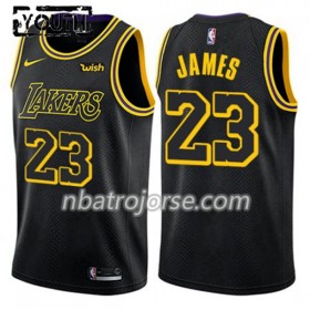 Barn Los Angeles Lakers Tröja LeBron James 23 Nike City Edition Swingman